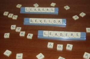 leadership development