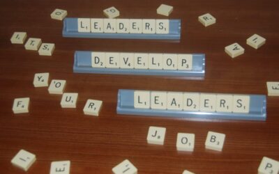 You better develop your own leaders… because HR’s not going to do it.