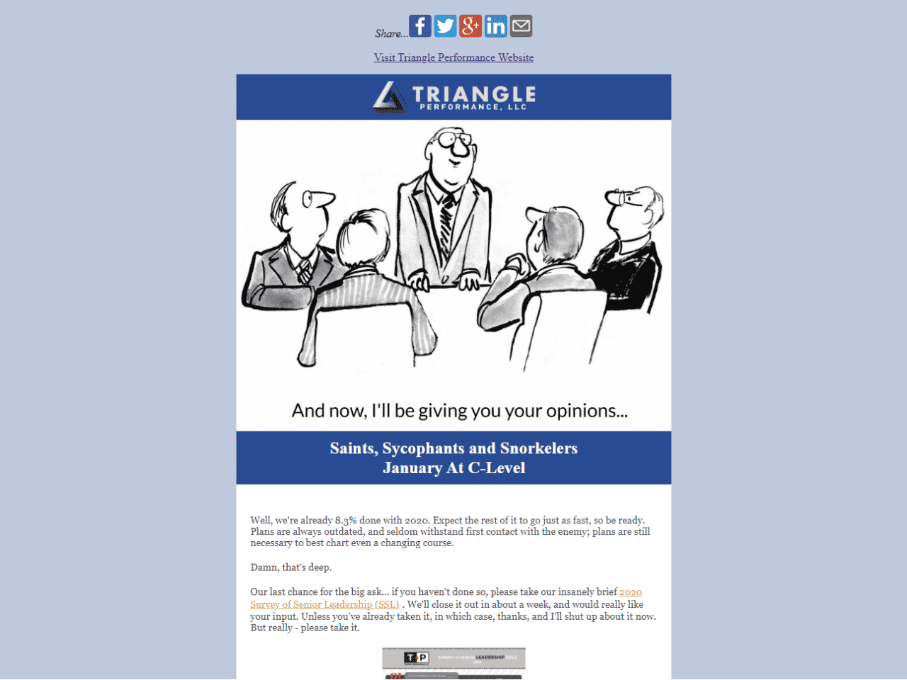 At C-Level Leadership Newsletter | Triangle Performance