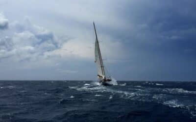 Weathering the Storm