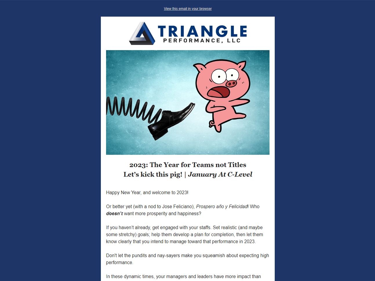 2023 Triangle Performance Newsletters